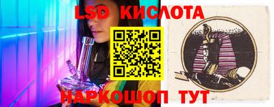 прущие грибы Партизанск
