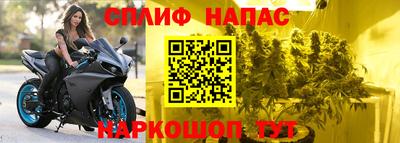 прущие грибы Первоуральск