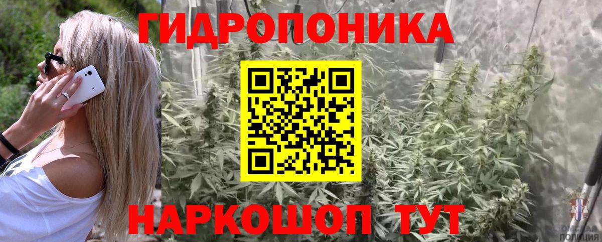 Каннабис Bruce Banner Сокол